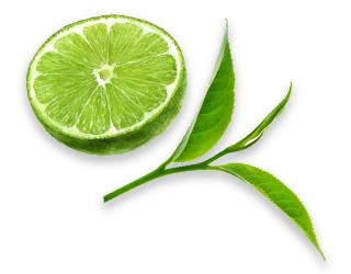 アールグレイイラスト