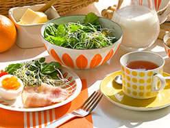 �g�����N���