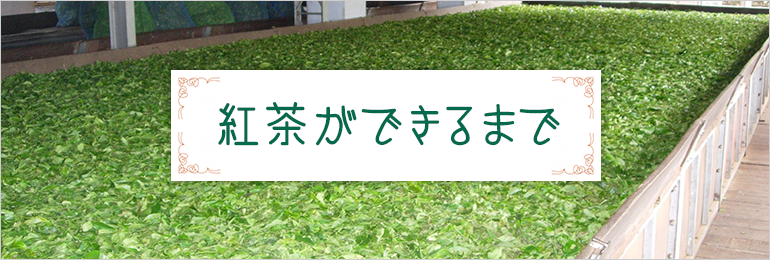 �g�����ł���܂�