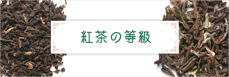 �g���̓���