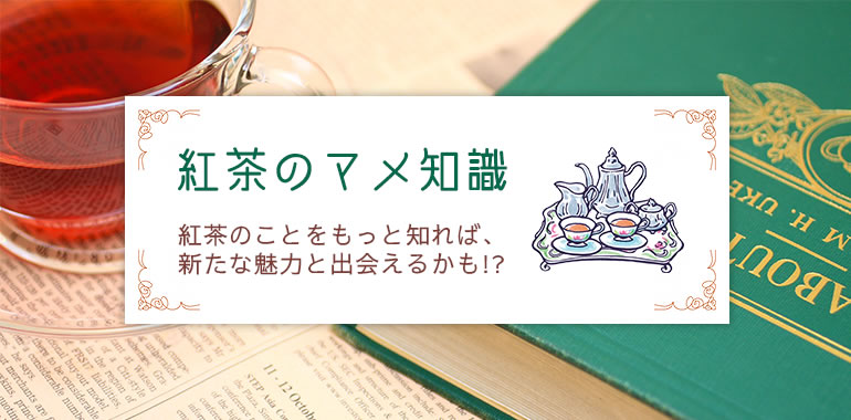 �g���̃}���m���@�g���̂��Ƃ������ƒm��΁A�V���Ȗ��͂Əo��邩���I�H