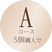 Aコース 5個購入で