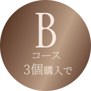 Bコース 3個購入で