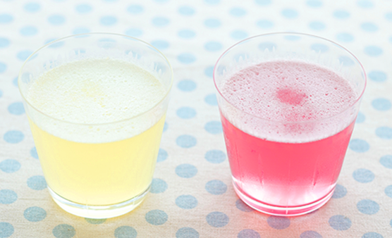 �V�����V�����\�[�_�[���[