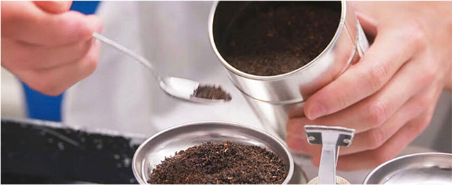 [�摜]���t���͂���V�[��